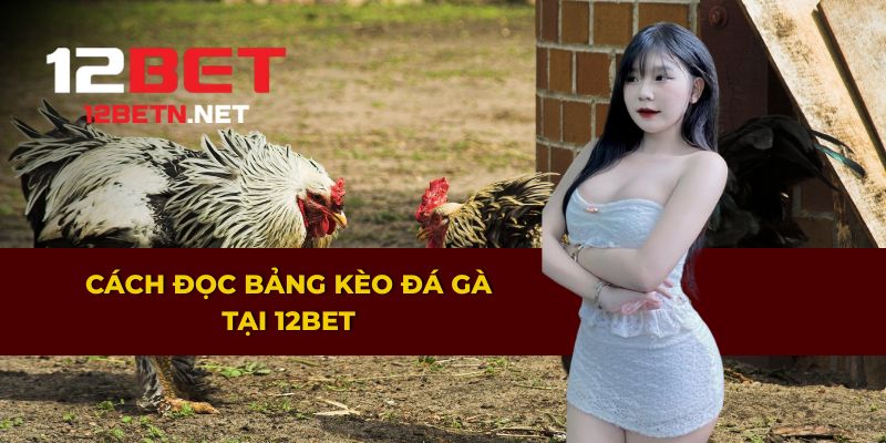 Hướng dẫn cách đọc bảng kèo đá gà
