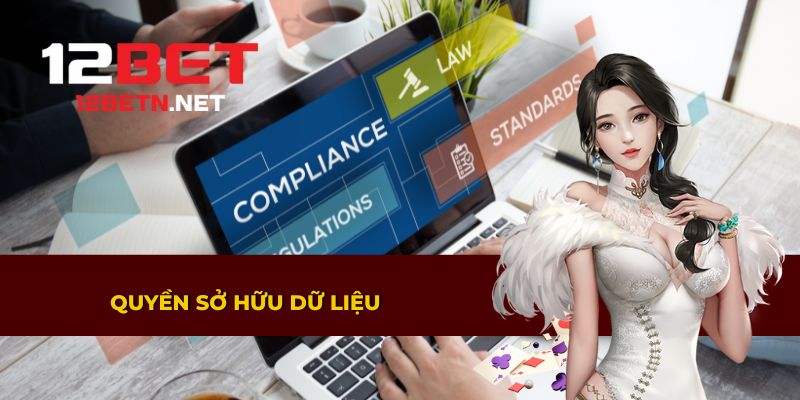 Tìm hiểu quyền sở hữu dữ liệu trong điều khoản và điều kiện